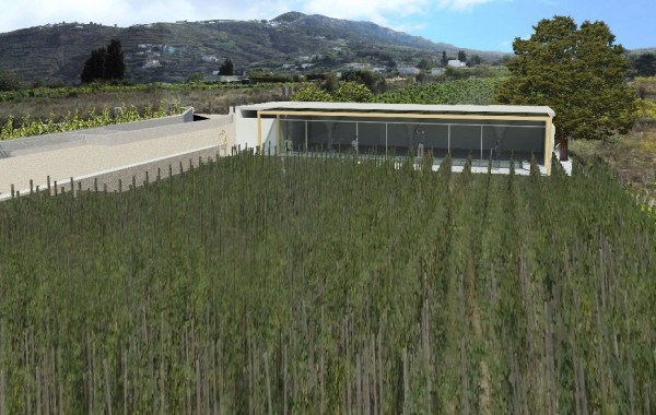 Progetto per la realizzazione di una cantina vinicola in localita’ Castellaro – Lipari